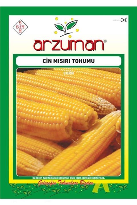 GüçlüTedarik Cin Mısır Tohumu 100 Tohum 25 Gram