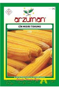 GüçlüTedarik Cin Mısır Tohumu 100 Tohum 25 Gram