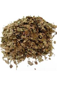 Doğan Baharat Ceviz Yaprağı 1 Kg