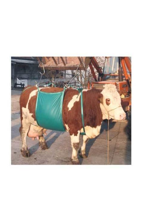 KERBL Sığır Kaldırma Aparatı