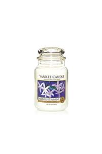 Yankee Candle 1129548e Büyük Klasik Mum Midnight Jasmine