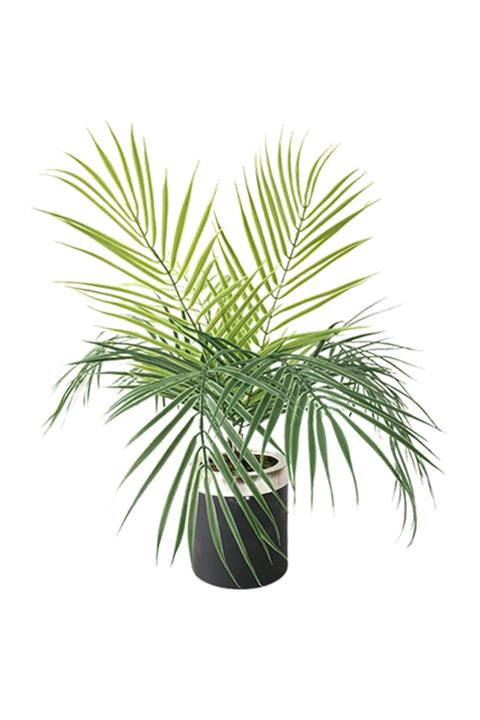 Hediye Vitrini Yapay Ağaç Palmiye Ağaç Areka Ağaç Metal Mat Siyah Saksılı 50 Cm