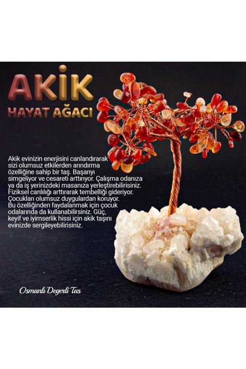 OSMANLI DOĞAL TAŞ Akik Doğal Taş Ağaç