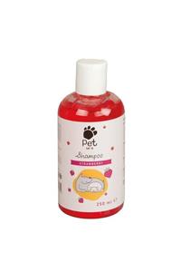 Pet Love Strawberry Çilek Aromalı Kedi Ve Köpek Şampuanı 250 Ml Kırmızı
