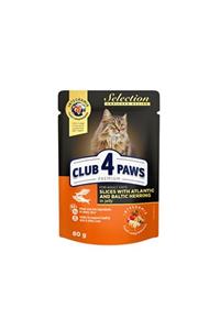 Club4Paws Atl.k-baltik Ringa B.sel.pre.kedi M.80gr