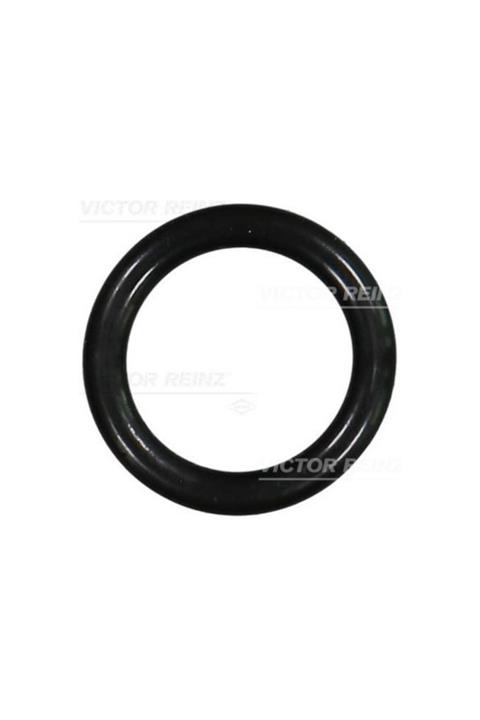 VICTOR REINZ Manifold Contası Berlıngo-c2-c3-c4-c5-fıesta V-focus Iı-fusıon-p206-p207-p307-p407-partner