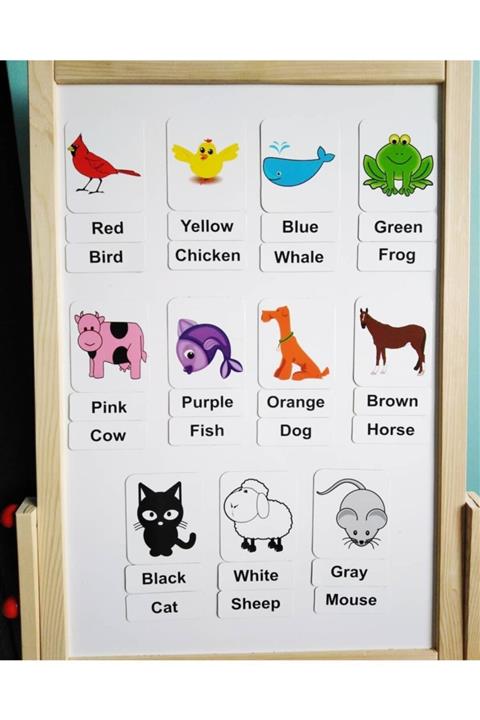 Okuling Manyetik Ingilizce Kelime Kartları Flashcards - Renkler Ve Hayvanlar / Colors And Animals