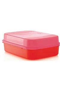 Tupperware Büyük Saklama Kutusu