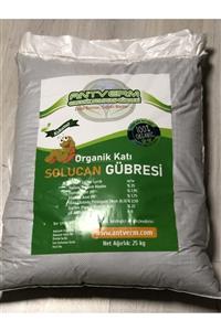 Antverm Tarla Ve Seralar Için 40 kg Kuru Amerikan Kırmızı Solucan Gübresi