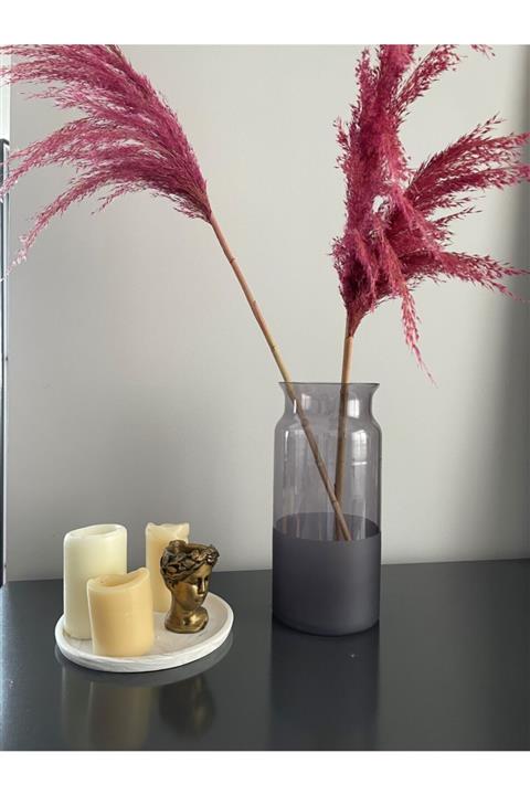 CS Home Design Büyük Gri Pampas Vazo