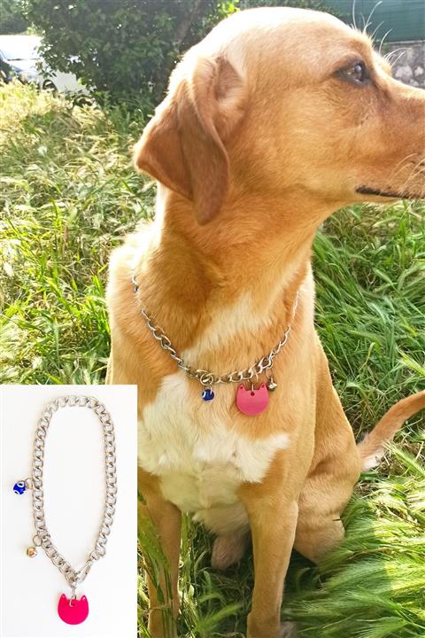 Petsbro.official 45cm Köpek Kolyesi 1. Sınıf Paslanmaz Alüminyum Silver Zincir - Pembe Künye1