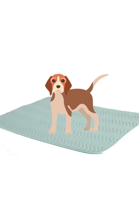 CARETEX Abso Eco Design Köpekler Için Sıvı Geçirmez,yıkanabilir Koruyucu Örtü 075x085