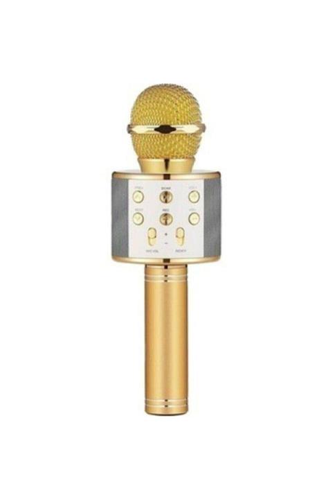 modern tekno Karaoke Mikrofon Dahili Hoparlörlü Usb Flash Destekli