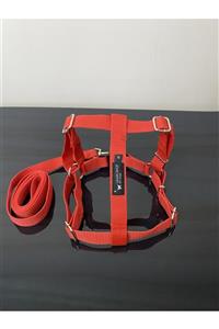 Leash Shop -kırmızı- Köpek Göğüs Bel Tasma Takımı Xl Beden 65-75 cm