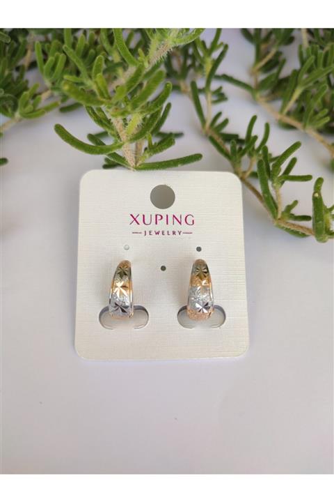 XUPING JEWELRY Çelik Küpe