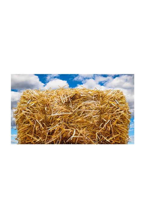 Arnego Buğday Saman