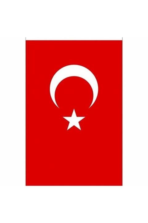 Vatan Bayrak 40 X 60 cm Türk Bayrağı Vt103