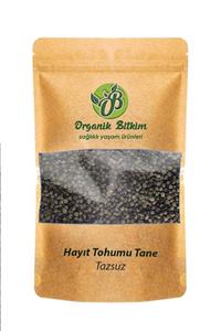 Organik Bitkim Hayıt Tohumu Tane Tozsuz (1. Kalite) Doğal 500gr