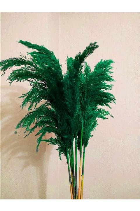 Alyones 8'li Büyük Demet Pampas Zümrüt Yeşil 100cm Boyunda