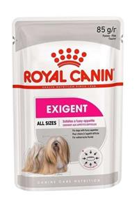 Royal Canin Pouch Exigent Adult Tüm Irklar Için Köpek Yaş Maması 85 gr x12adet