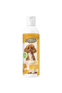 Doglife Dlca03- Bal Özlü Köpek Şampuanı 250 Ml
