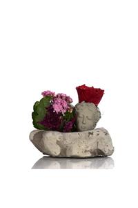 ciceksanat Kalanchoe Ve Kırmızı Solmayan Gül