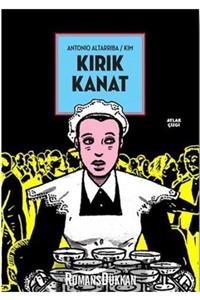 Aylak Kitap Kırık Kanat