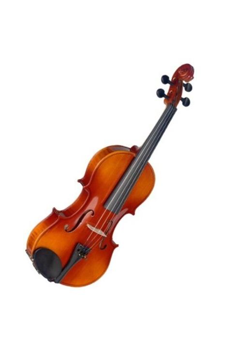 STAGG 4/4 L Keman Seti (KUTU YAY REÇİNE YASTIK)