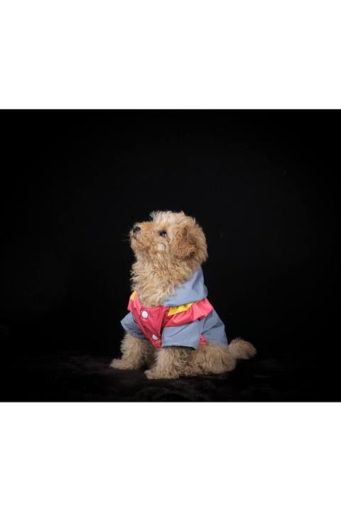 GedyCo Fırfır Detaylı Köpek Yağmurluğu