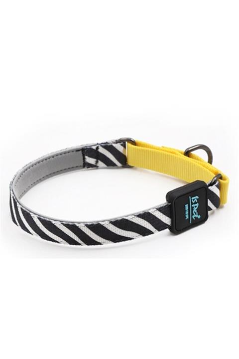 IsPet Zebra Large Beden Köpek Eğitim Boyun Tasması (L) - Spacedogs®