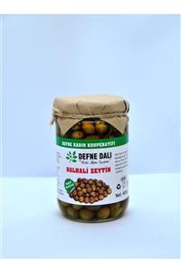 DEFNE DALI Doğal Tarladan Halhali Zeytin (400 Gr)