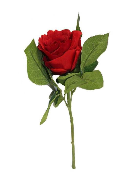 ETS Thetra Süper Emici Kopar At Kağıt Bez