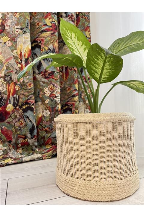 Beyaz Atölyem Krem Rengi Dekoratif Sepet Saksı