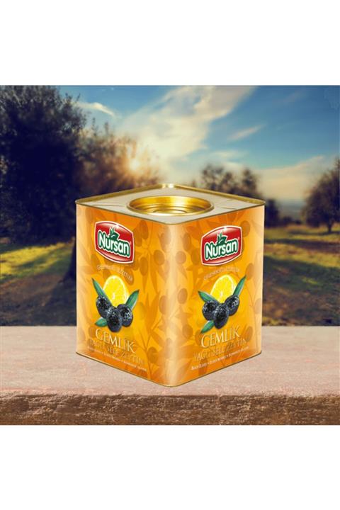 Nursan Gıda Süper 2 Zeytin 10 kg