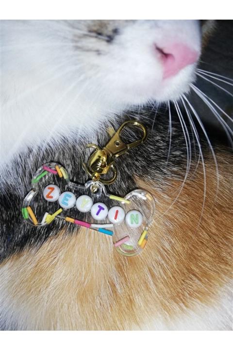 MYNOVA HOME Kedi Köpek Tasma Künyesi Zeytin Isimli