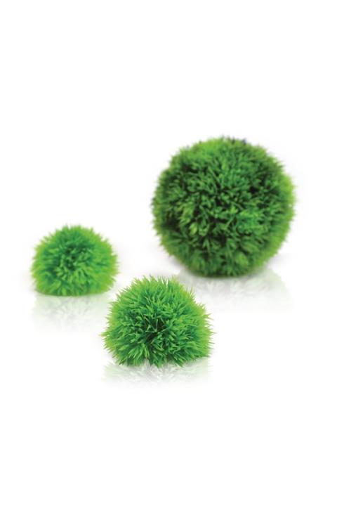 OASE 46056 Akvaryum Dekoru Bitki