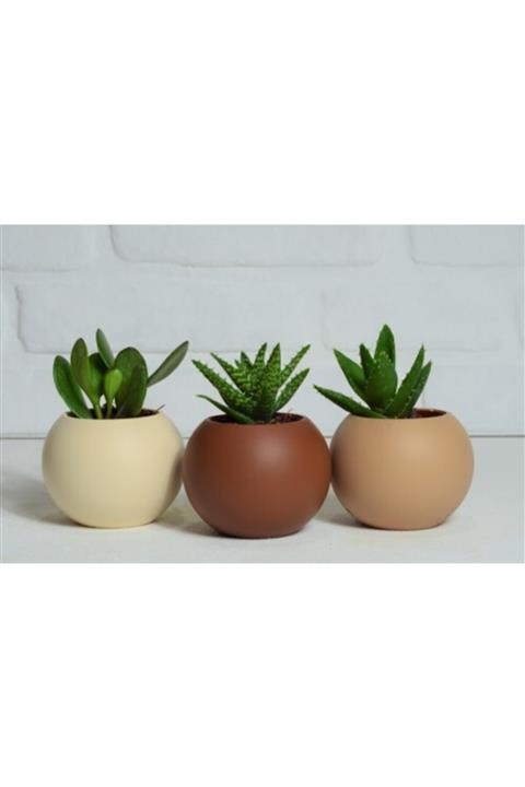 bahcebeton 3'lü Beton Top Saksı Seti Kahve Latte Krem