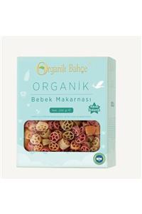 Organik Bahçe Organik Bebek Makarnası 250 gr 2 Adet