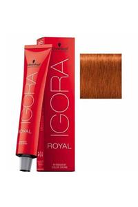 Schwarzkopf Igora Royal Saç Boyası 7-77 Kumral Yoğun Bakır 60 ml