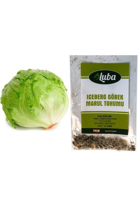 Luba Iceberg Göbek Marul Tohumu 50 Adet