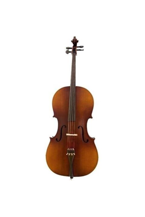 VANETTA Vl-1a 4/4 Parlak Cila Keman