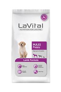 La Vital Lavital Büyük Irk Kuzu Etli Yavru Köpek Maması 3 Kg