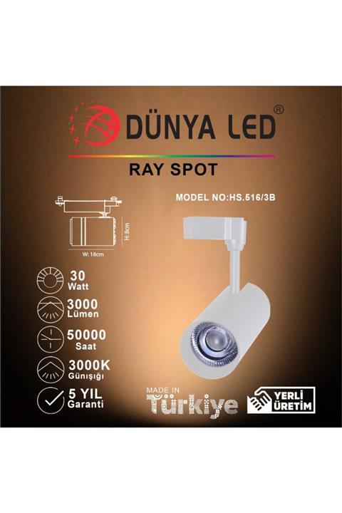 DÜNYA LED Hs.516/3b 30w Cob Led Ray Spot Beyaz 3000k Günışığı