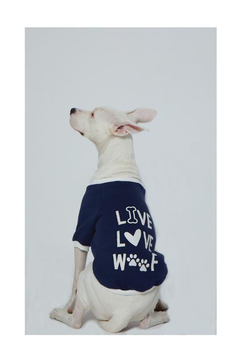Ponchic Baskılı Sıfır Yaka Köpek/kedi Sweatshirtü 5xl Beden