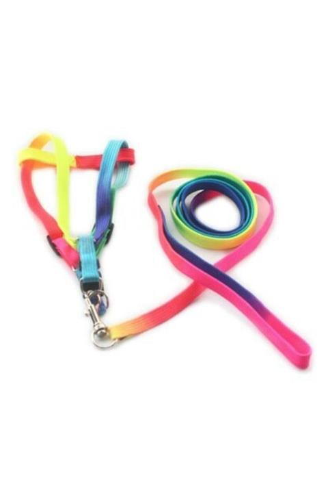 Lion 81010 Gökkuşağı Gezdirme Tasması Takım