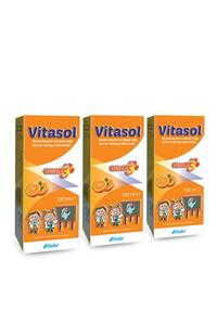 VitaSol Balık Yağı Multivitamin Şurup 100 ml (3 Adet)