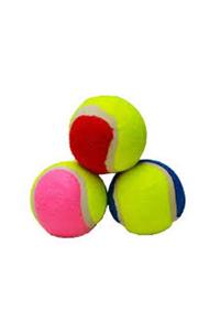 DREAM VEGA Petzoom Tenis Topu Köpek Oyuncağı 3 Adet
