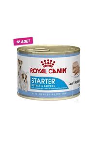 Royal Canin 12 Adet - Starter Mousse Konserve Yavru Köpek Maması 195 Gr