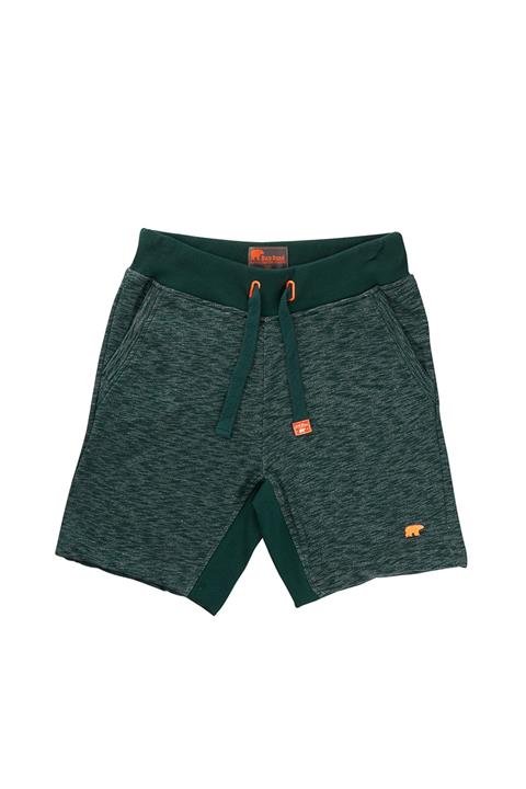 Bad Bear MISSOURI FOREST