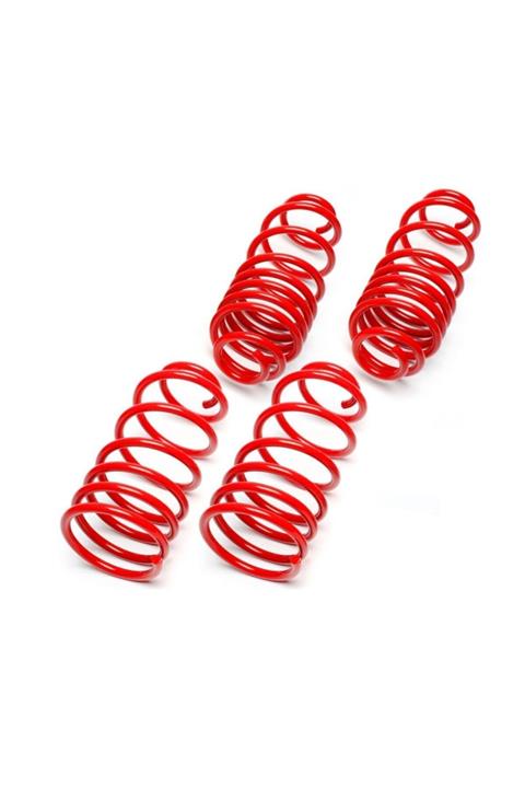 BLUEOTO Renault Clio 3 (2006-2012 ) 50 Mm Spor Helezon Yay Ctk Spor Springs 4'lü Set